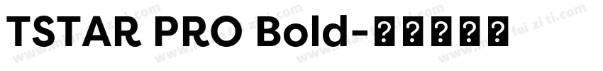 TSTAR PRO Bold字体转换